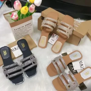 IMG 20250109 WA0030 1